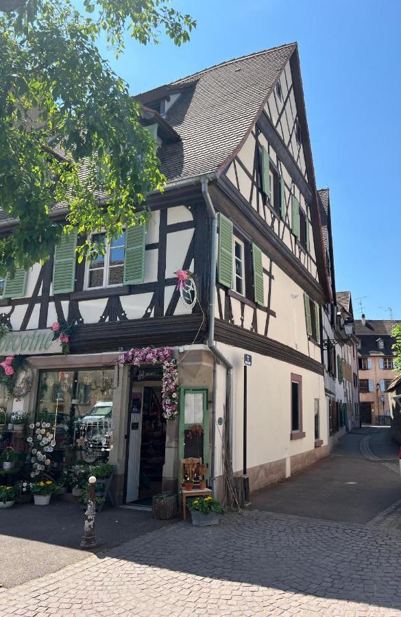 La Maison Du Batelier - Quartier Historique Petite Venise Colmar Exterior photo